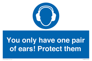 Mandatory: You only have one pair of ears! Protect them
